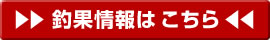 釣果情報はこちら